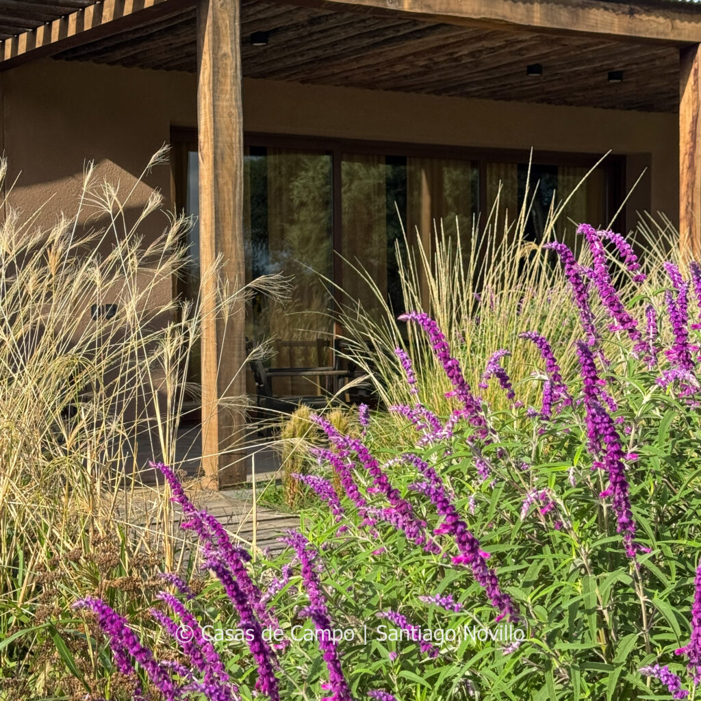 NS - PUEBLO ESTANCIA LA PAZ - ASCOCHINGA